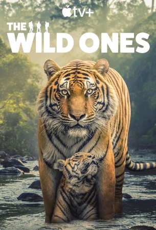 В мире дикой природы